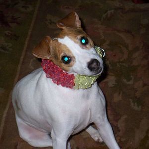 Meet your Posher, Cecilia